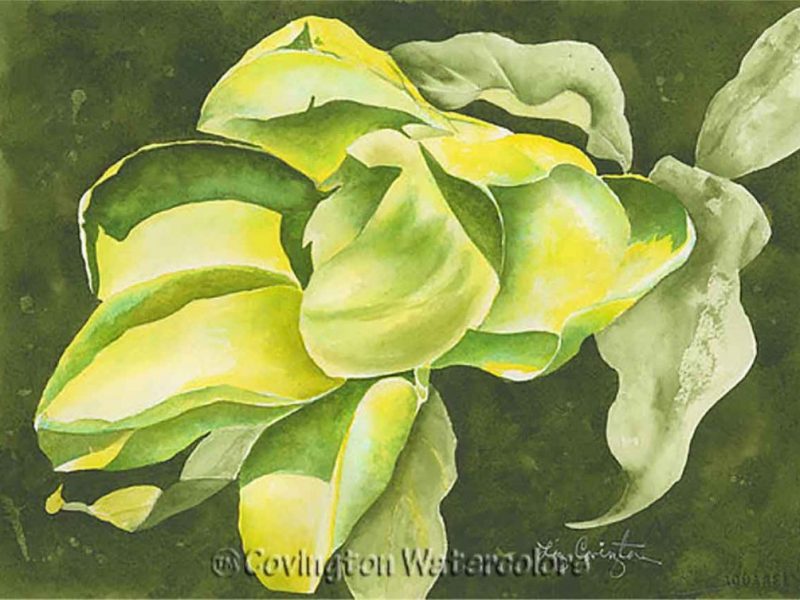 Floral Watercolors That Are Luminous & Inviting
